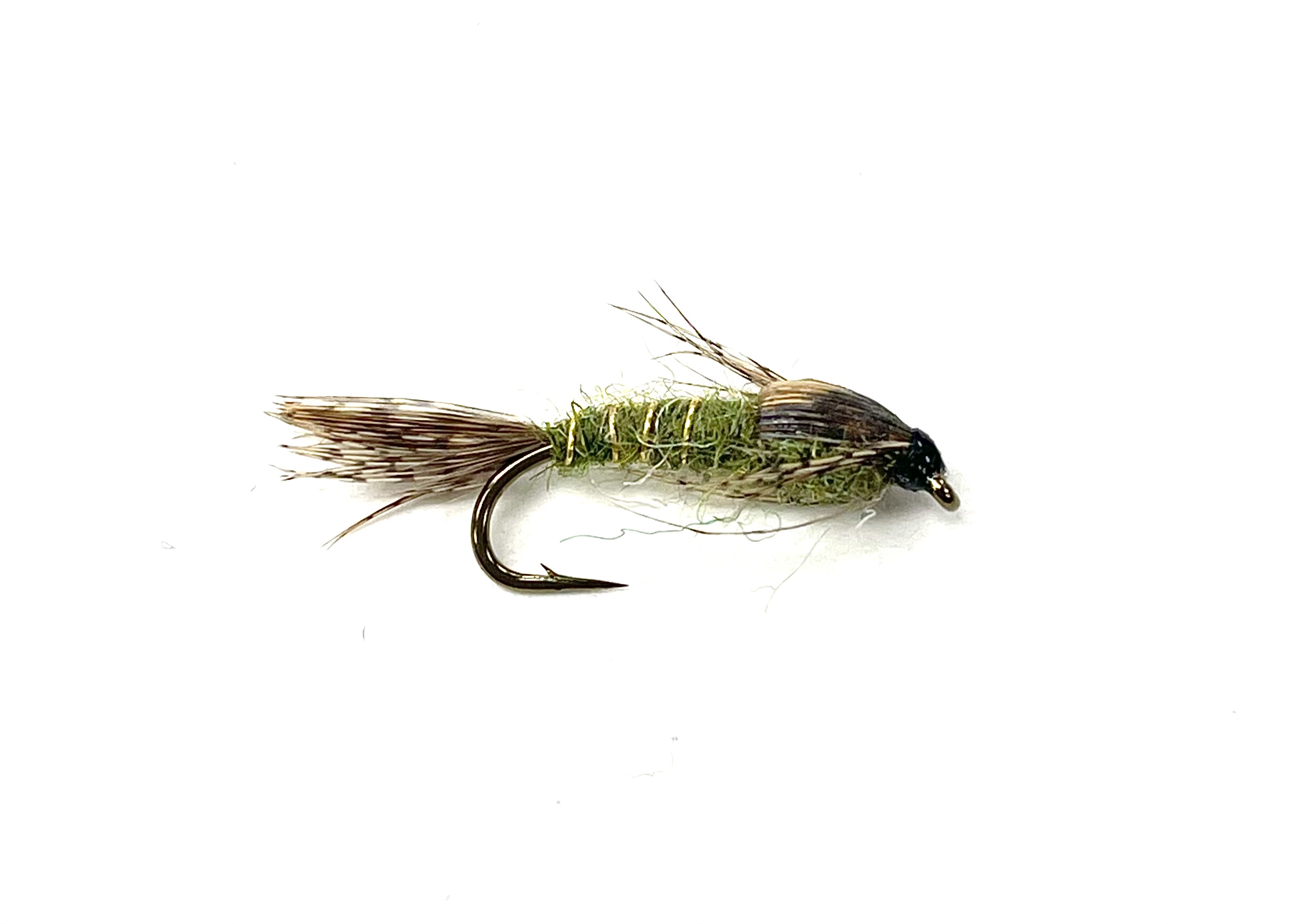 Green Drake Nymph